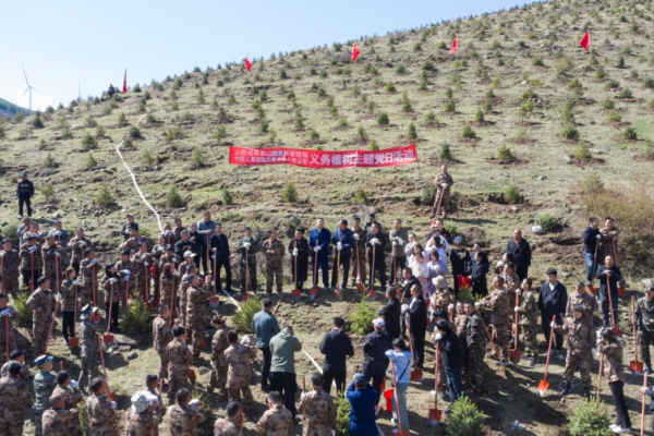 携手植绿 厚植绿色家底